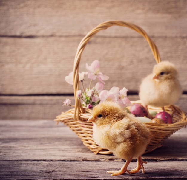 Huhn mit Ostereiern auf hölzernem Hintergrund