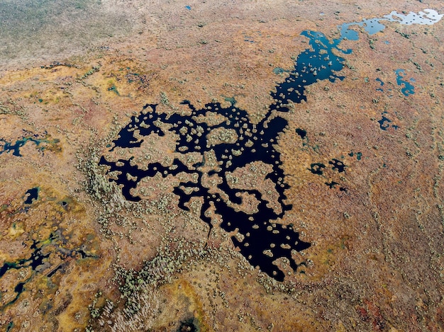 Humedal, fotografía aérea. Pantanos en la tierra.