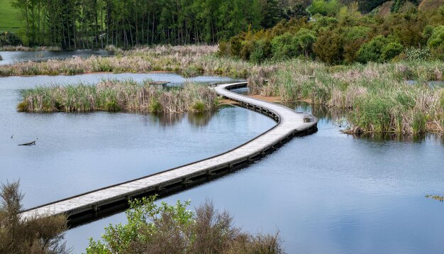 El humedal de Pekapeka en la bahía de Hawkes en Nueva Zelanda con un walkwa de madera