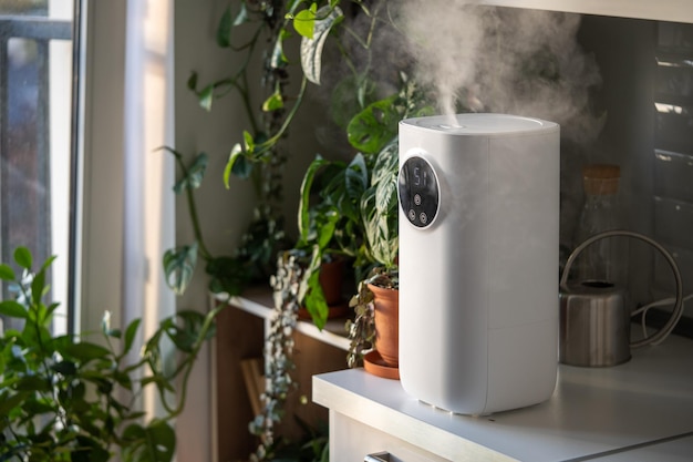 El humidificador moderno en el hogar humedece el aire seco rodeado por el concepto de humidificación de plantas interiores