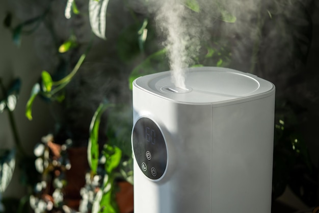 El humidificador moderno en el hogar humedece el aire seco rodeado por el concepto de humidificación de plantas interiores