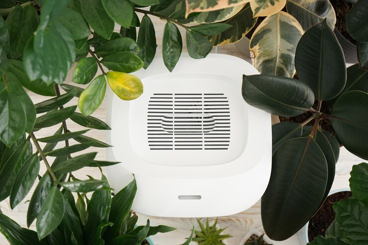 Humidificador moderno y plantas de interior en la habitación, primer plano. Vista superior.