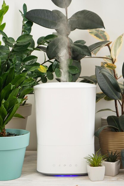 Humidificador moderno y plantas de interior en la habitación verticalmente.