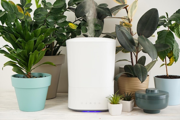 Humidificador moderno y plantas de interior en la mesa en la habitación.