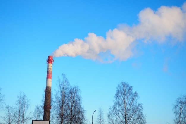 Foto humo de una chimenea de fábrica contaminación ecológica emisiones de aire contaminantes bosques residuos industriales