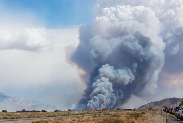 Humo del fuego a lo largo de la carretera