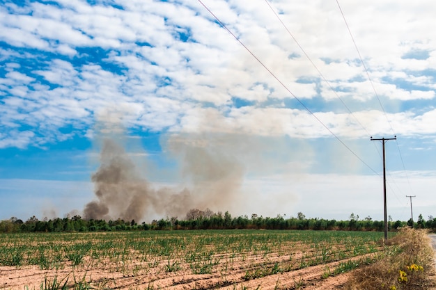 Humo negro de un incendio que se produce en los campos de caña de azúcar