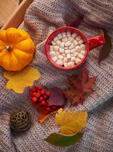 Foto humor de outono, bebida de aquecimento. atmosfera acolhedora. xícara vermelha de cacau com marshmallow, abóbora decorativa.