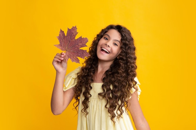 Humor outonal Menina criança nas folhas de outono Menina adolescente com folhas de carvalho e bordo isoladas em fundo amarelo Folhagem de outono