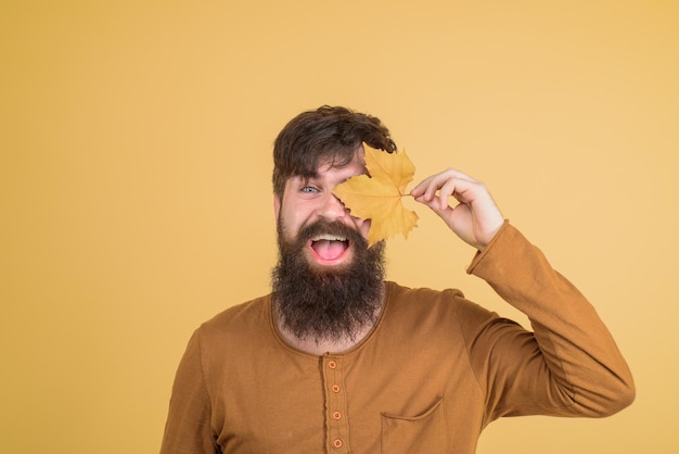 Humor outono homem feliz cobriu os olhos com folhas de outono, tempo de outono sorrindo homem barbudo com amarelo