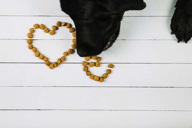 Foto hund, der lebensmittelherz isst