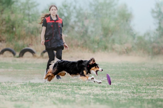 Hund Frisbee Hund fängt fliegende Scheibe im Sprung Haustier spielt im Freien in einem Park Sportveranstaltung Achie