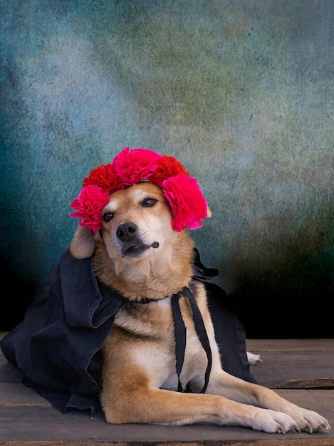 Hund gekleidet für den Tag der Toten mit einer Blumenkrone auf dem Kopf