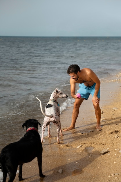 Hund hat Spaß am Strand