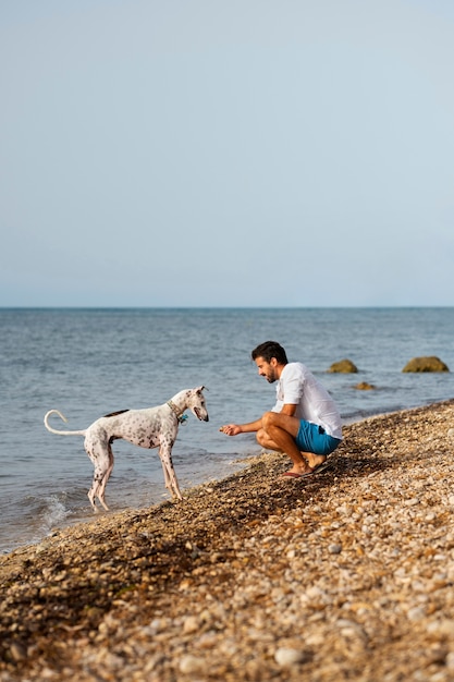 Foto hund hat spaß am strand