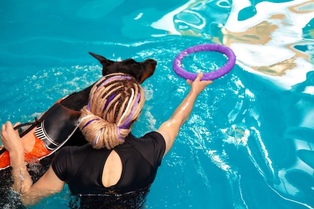 Hund in Schwimmweste schwimmen im Schwimmbad mit Trainer Haustierrehabilitation Erholungstraining Prävention für Hydrotherapie Haustiergesundheitspflege