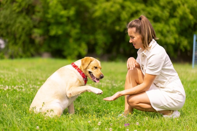 Hund Labrabod gibt einem Mädchen-Hundetrainingskonzept eine Pfote