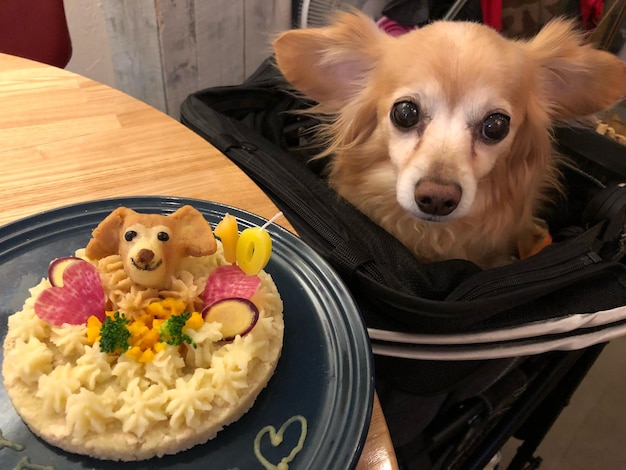 Hund mit Kuchen auf dem Tisch