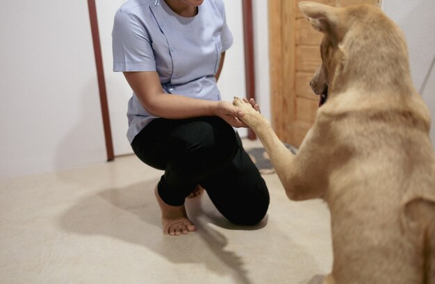 Hund spielt glücklich mit dem asiatischen Besitzer im Haus.