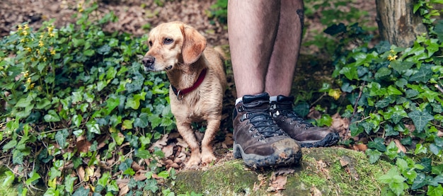 Hund und sein Besitzer stehen auf dem Felsen