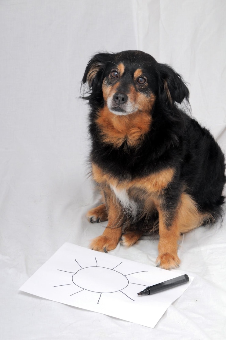 Foto hund zeichnen