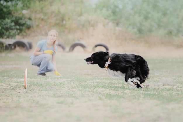 Hunde-Frisbee. Hund fängt fliegende Scheibe im Sprung, Haustier spielt draußen in einem Park. Sportereignis, Achie