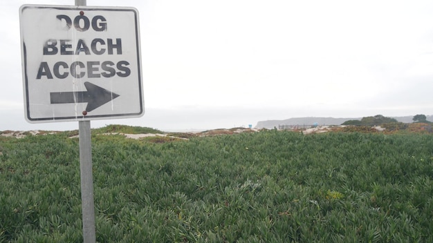 Hundefreundlicher Zugang zum Strand Straßenschild Kalifornien USA Haustier zu Fuß an der Küste des Ozeans