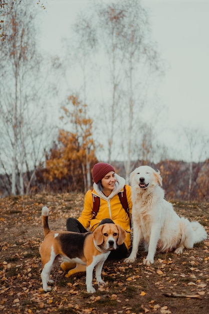 Hundefreundschaft