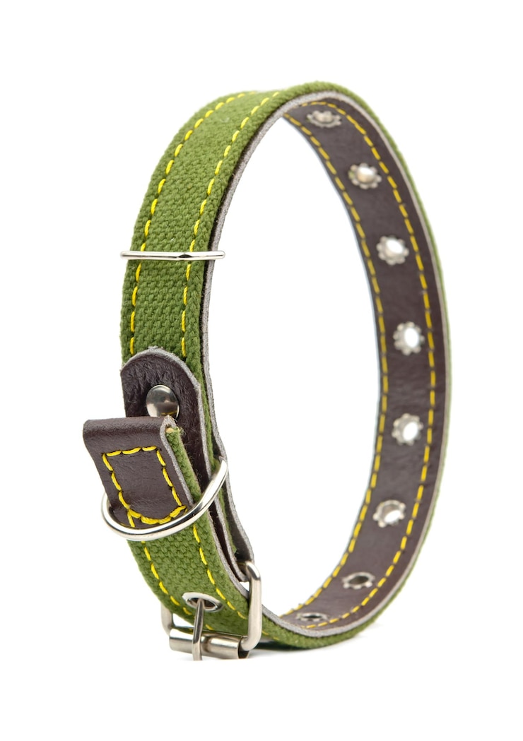 Foto hundehalsband