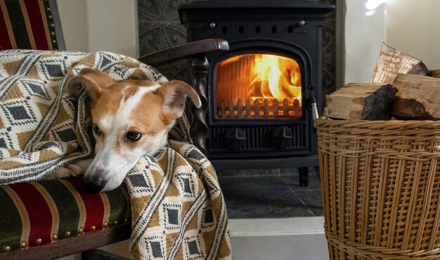 Hundekamin Karte Decke zu Hause traurig altmodisches Holz kaltes Feuerholz