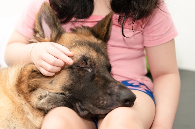 Hundekopf mit Zusammengehörigkeit des Besitzers, der mit Sorgfalt sitzt und lächelt