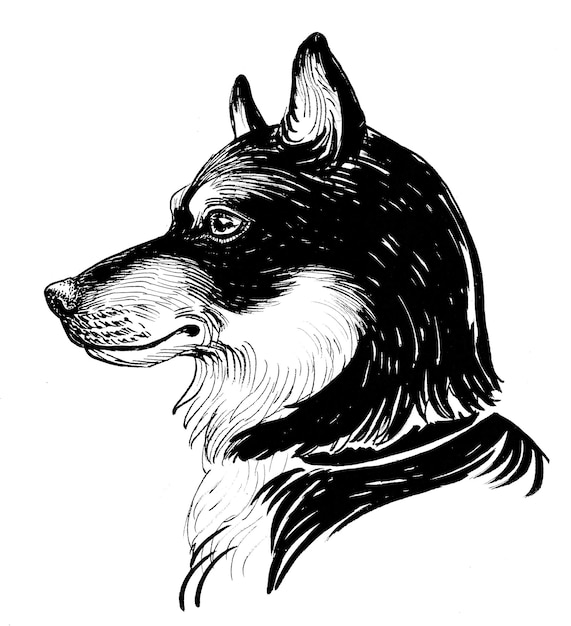 Hundekopf Tinte Schwarz-Weiß-Zeichnung