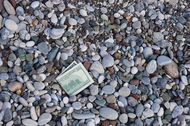 Hundert Dollar, die halb mit runden Felsen bedeckt sind, liegen am Strand