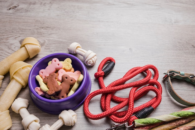 Hundesnackshalsband und -seil auf boden