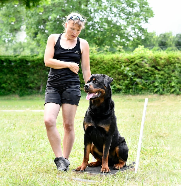 Hundetraining für Gehorsamsdisziplin mit einem Rottweiler