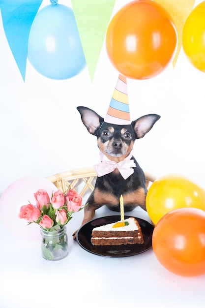 Hundewelpe mit alles Gute zum Geburtstagkuchen ein Partyhut Geburtstagskarte vertikal