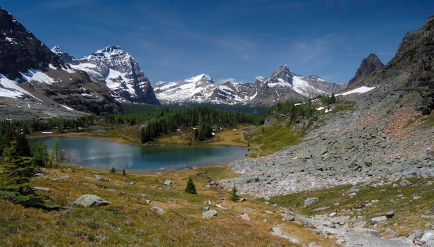 Hungabee-See und das Opabin-Plateau Lake O'Hara Yoho Nationalpark British Columbia Kanada