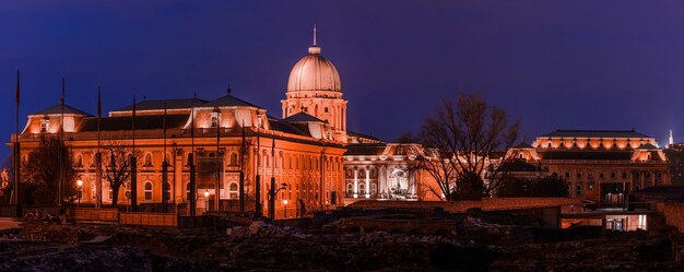 Hungría, Budapest por la noche, el Castillo de Buda iluminado por luces