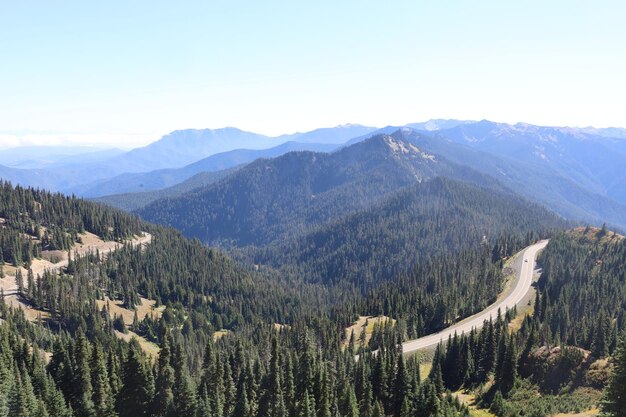 Huracán Ridge en el Parque Nacional Olympic Washington