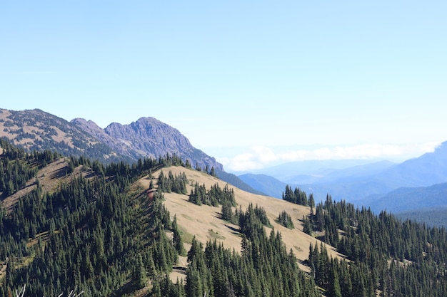 Huracán Ridge en el Parque Nacional Olympic Washington