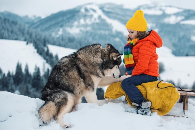 Husky-Hund mit Kinderjungen auf der verschneiten Winterlandschaft Winter für Kinderthema-Weihnachtsferien neu ja