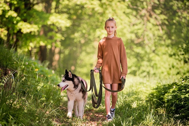 Husky siberiano e sua dona de menina caminham juntos ao longo da estrada no parque de verão