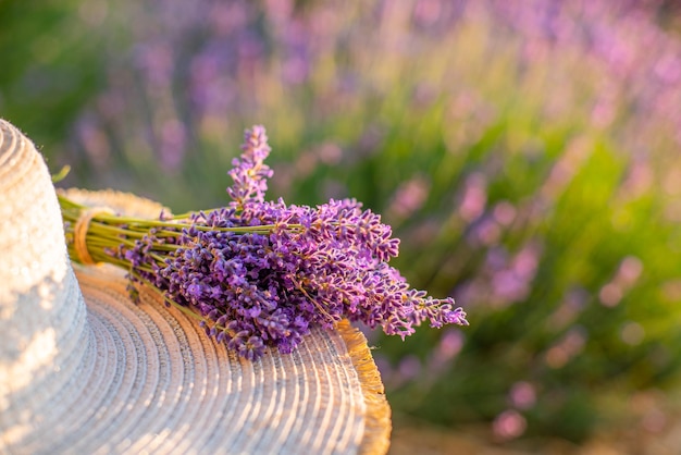 Hut mit Lavendel Schöner Lavendelhintergrund