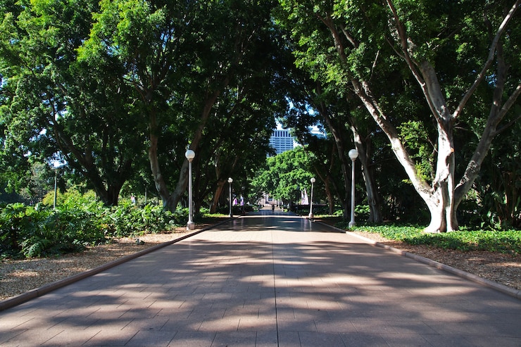 Foto hyde park en el centro de sydney, australia