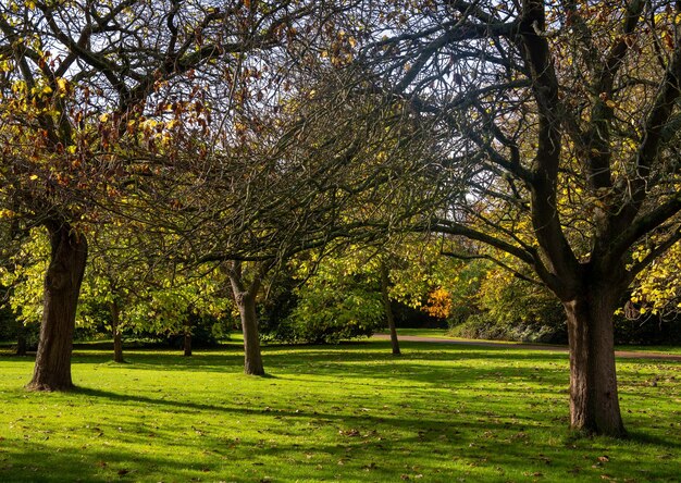 Hyde Park es un parque ubicado en Londres Reino Unido Es el más grande de los cuatro parques reales