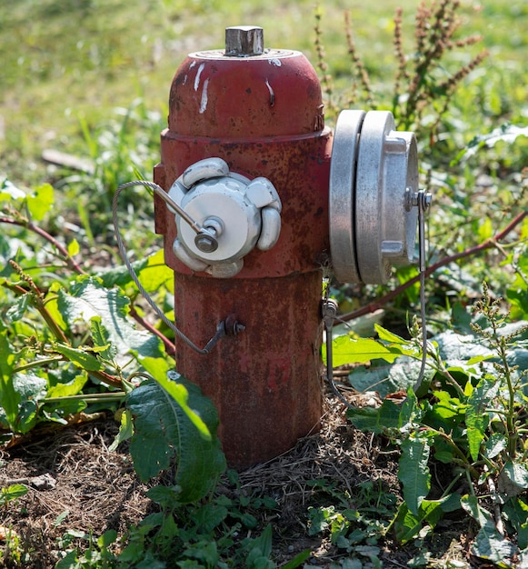 Hydrant im Garten platziert