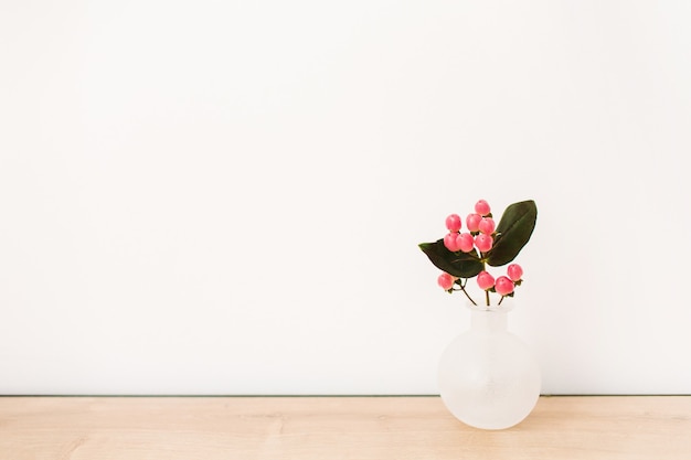 Hypericum-Blume in Vase auf weißem Hintergrund