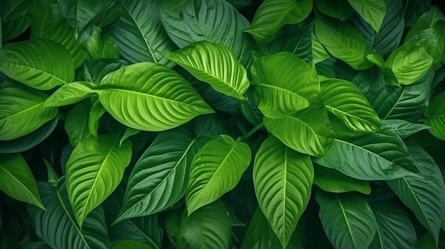 IA generativa una hoja tropical y una textura de hoja verde abstracta