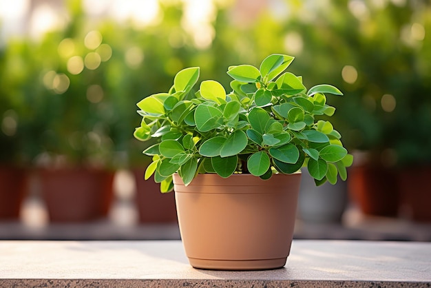 IA generativa una maceta con una planta sentada en la mesa cercana