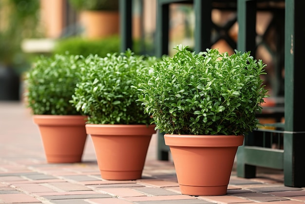 IA generativa um vaso com uma planta sobre a mesa próxima